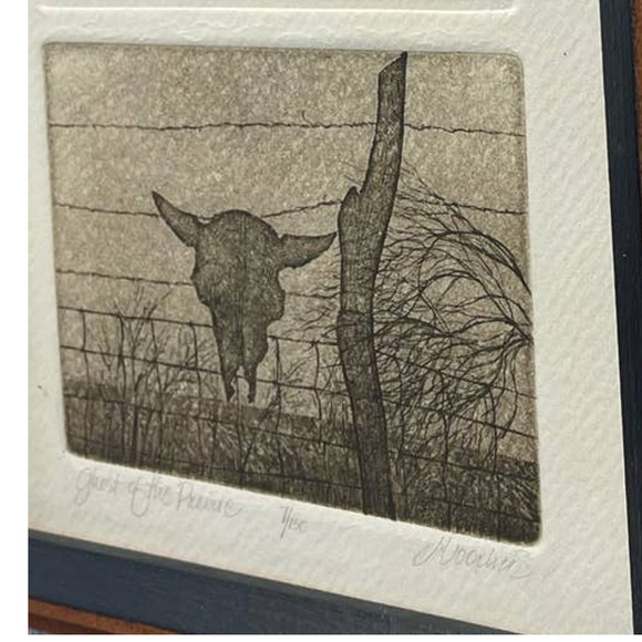 Vintage Ghost of the Prairie Buffalo Sketch Signed Numbered Framed Glass Art